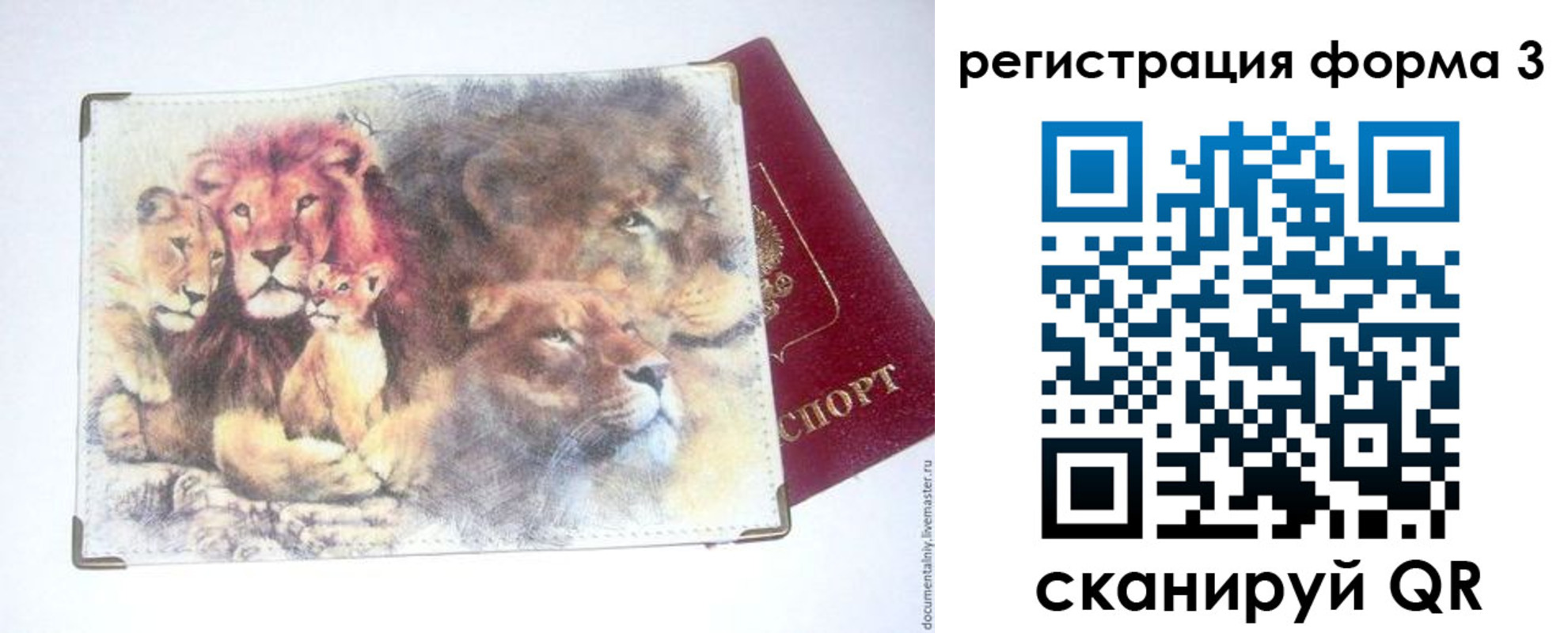 прописка в квартире в Елизово